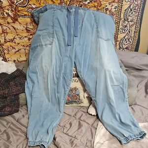 Time and Tru Light Blue Denim Joggers